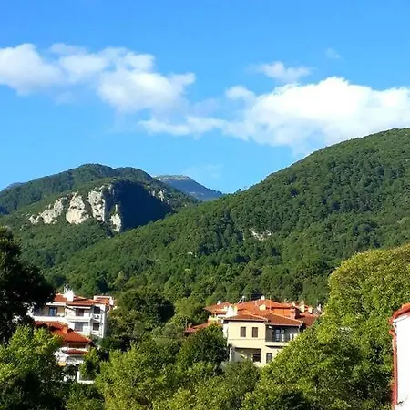 Olympus Veranda Mountain And Sea View! Litóchoron