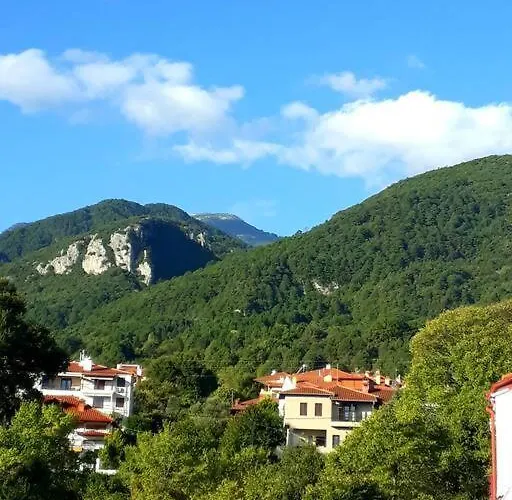 Olympus Veranda Mountain And Sea View! Litochoro